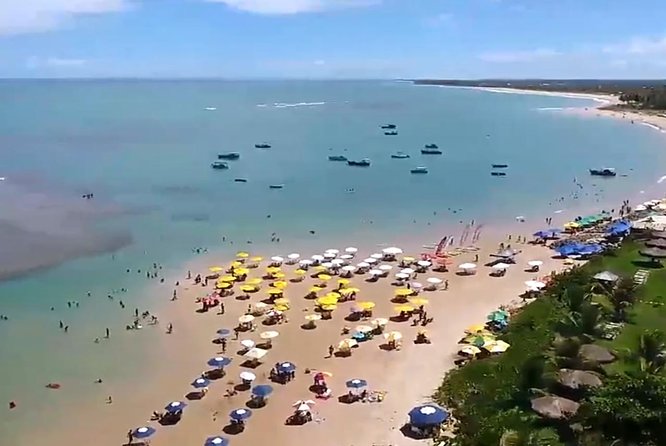 Tour to Praia Do Forte and Guarajuba - Transport and Guide