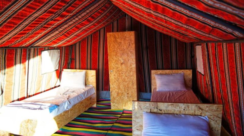 Tozeur: 2-Day Desert Overnight Stay in a Tent & Camel Trek - Importance of Mobility