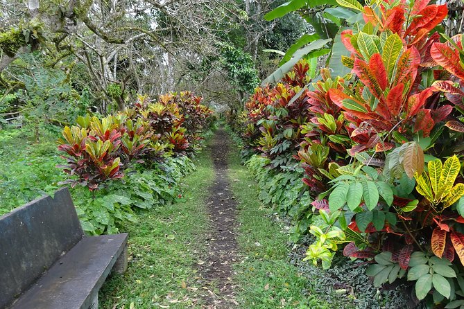 Transfer in + Visit to the Giant Turtle Nature Reserve - Reviews and Ratings