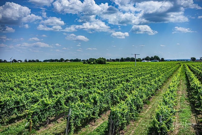 Transfer Niagara-on-the-Lake, Canada to Toronto, Canada (Downtown) - Operating Hours and Availability