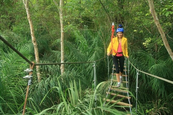 Tree Climbing In Bonito - Professional Guidance and Equipment