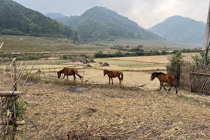 Trekking Ban Gioc Waterfall to Hidden Village on Unique Route - Traveler Testimonials and Insights