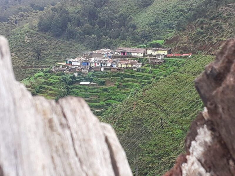 Trekking From Kandy to Ella - Guided Experience