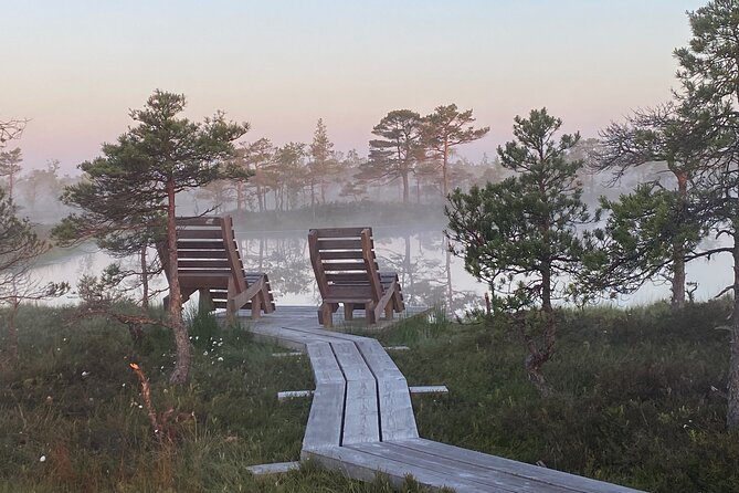 Trip to Kemeri National Park & Jurmala From Riga - Dzintari Forest Park Viewing Tower