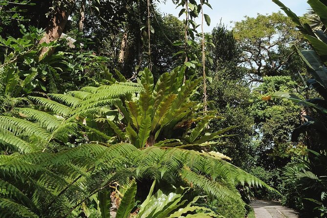 Tropical Spice Garden Entrance Tickets & Guided Tours - Meeting Point and Pickup