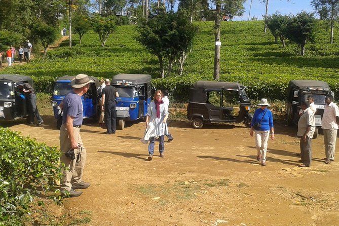 Tuk Tuk Safari and Picnic in the Tea Plantation From Ella,Haputale & Bandarawela - Activities Included