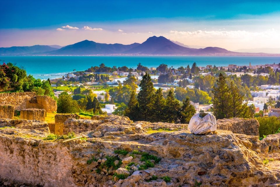 Tunis: Carthage, Bardo, Sidi Bou Said and Medina Tour - Guided Experience