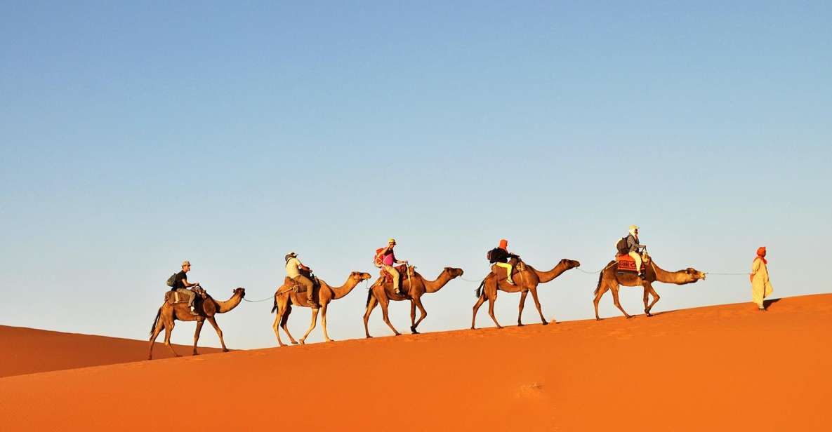 Tunisia: 3-Day Sahara Desert Camel Trek From Douz - Important Travel Tips