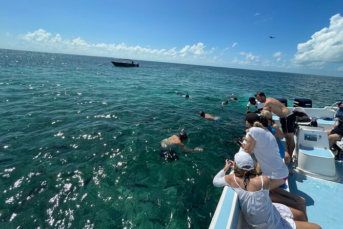 Turtle Garden Snorkeling Tour and Island Break - Cruise Ship Passenger Information
