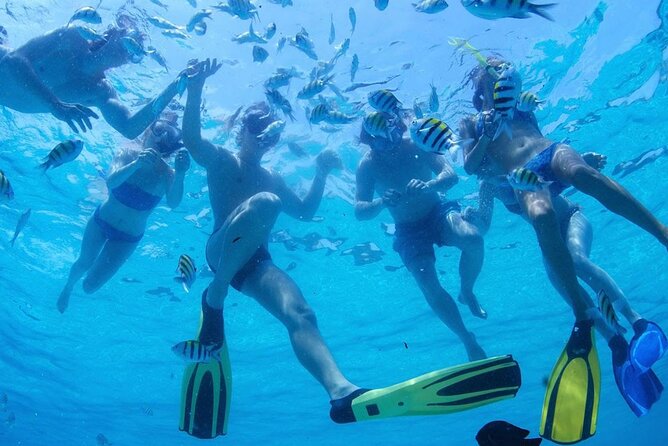 Two Dives for Certified Divers and Snorkeling in Fujairah - Diving Locations and Options