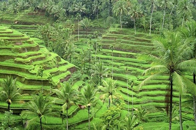 Ubud and Tanah Lot Tours - Health and Accessibility