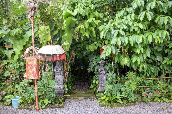 Ubud: Jungle Swing Private Tour and Volcano - Pricing and Whats Included