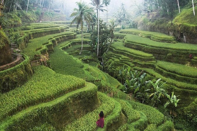 Ubud Private Full-Day Tour - Recommended Packing List