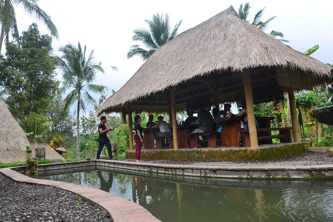 Ubud Village Sightseeing, Famous Paddy Field And Ubud Waterfall - Purification at Tirta Empul