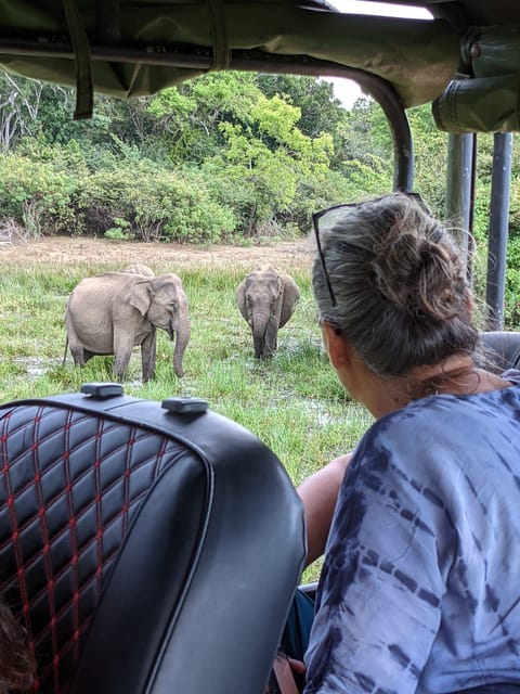 Udawalawa National Park - All-Inclusive Private Safari Tour - Important Information