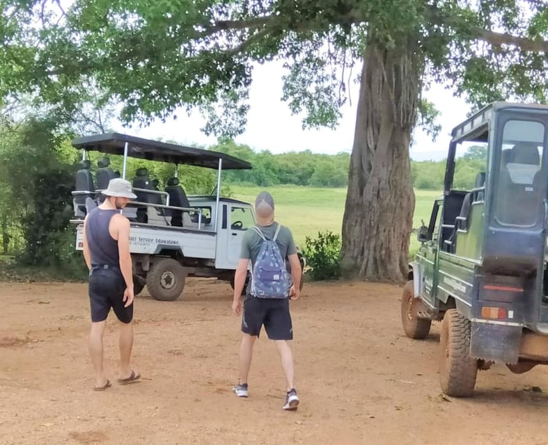 Udawalawe Elephant Safari With Transfer From Galle - Suitable for Visitors