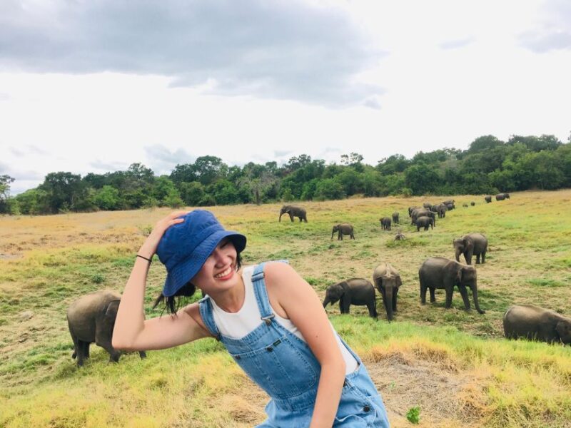 Udawalawe National Park: Private 4 Hours Safari Trip - Guided Safari