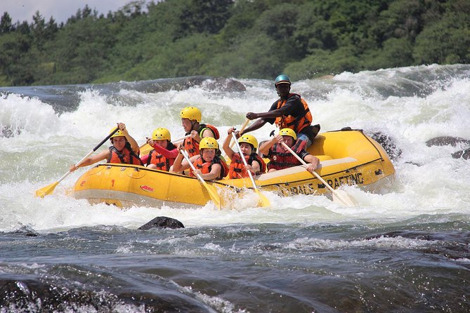 Uganda Gorillas and Game Safari - 10 Days - Queen Elizabeth National Park