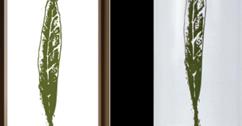Ultimate Food & Wine Masterclass - Inclusions