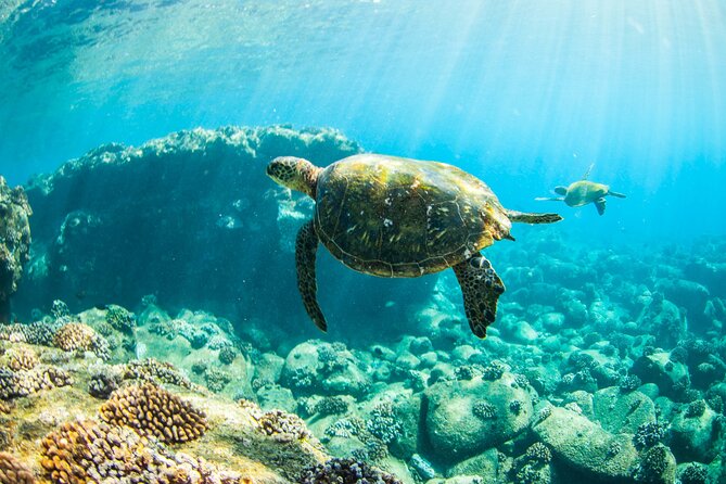 Ultimate South Island Zodiac Boat Snorkel Adventure in Kauai - Preparing for the Adventure