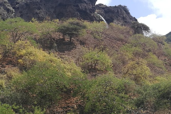 Uncover Wonders of East Salalah-Full Day Guided Tour - Experience the Gravity Point Phenomenon