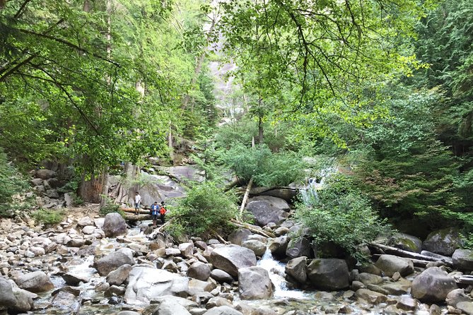Unforgettable Whistler ( Full Day Private Tour) - Additional Information