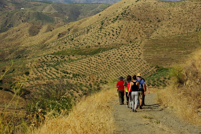 Upper Douro Walk & WineTour - Visiting a Traditional Portuguese Farm