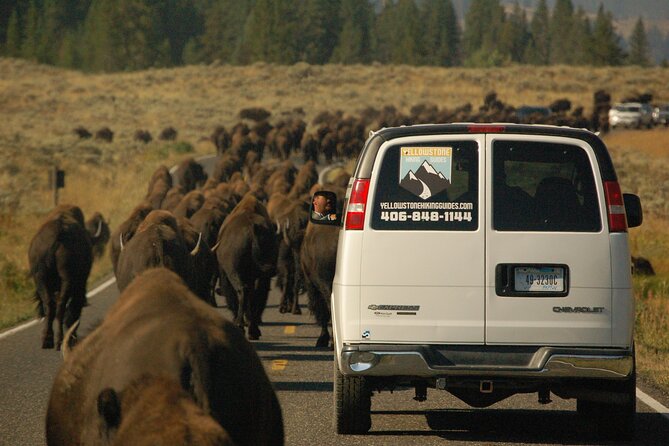 Upper Loop Tour and Lamar Valley From West Yellowstone With Lunch - Considerations and Additional Information