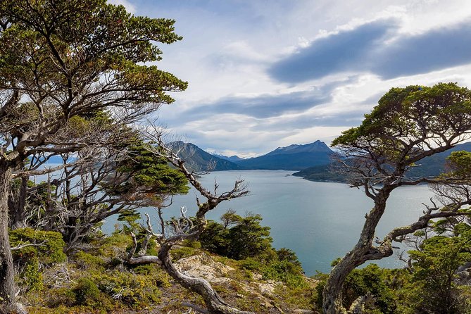 Ushuaia: Visit to the National Park and End of the World Train - Dining Options on the Tour
