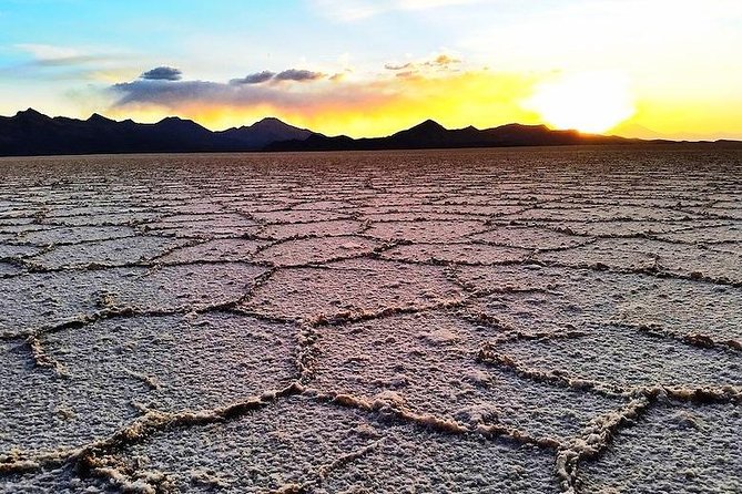 Uyuni Salt Flats (Day Trip) English Guide - Inclusions and Pricing