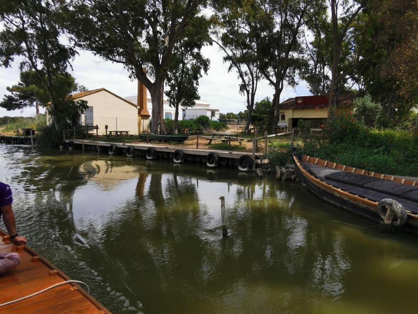 Valencia: Albufera Natural Park Bike and Boat Tour - Bike Rental Options