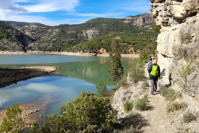 Valencia Buseo Reservoir Private Hiking Tour  - Valencia Province - Traveler Photos and Experiences