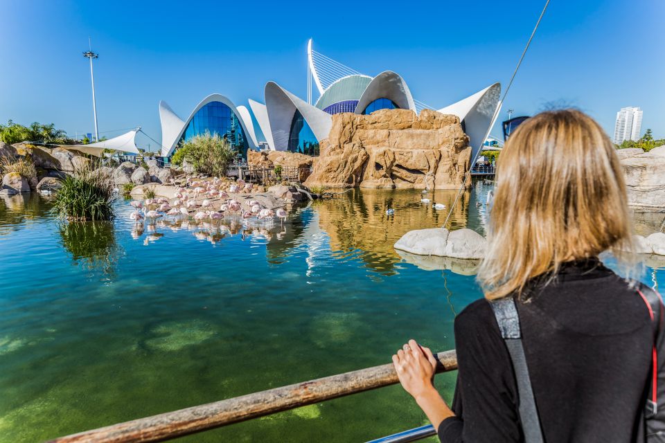 Valencia: Oceanographic Entry Ticket - Visiting Hours and Schedules