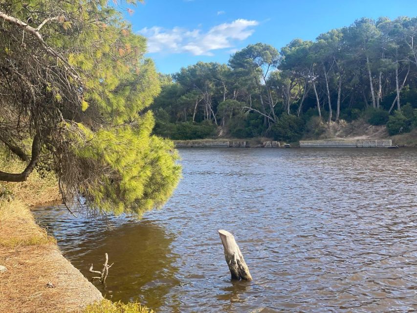 Valencia: The Albufera Lake Self-Guided E-Bike Tour - What to Bring