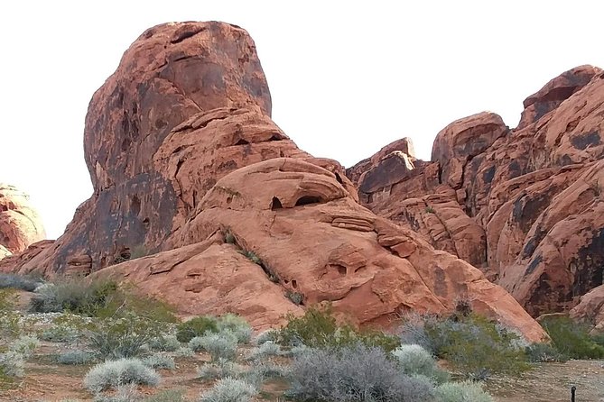 Valley of Fire Hike From Las Vegas - Health and Safety