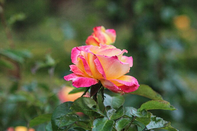 VanDusen Botanical Garden Admission Ticket - Operational Hours
