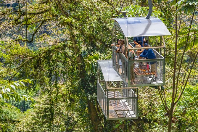 Veragua Rainforest Experience and Tram Ride in Puerto Limon - Pricing and Cancellation Policy