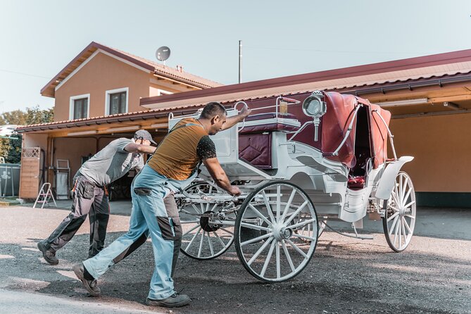 Vienna Horse-drawn Carriage Guided Tour - Positive Reviews and Feedback