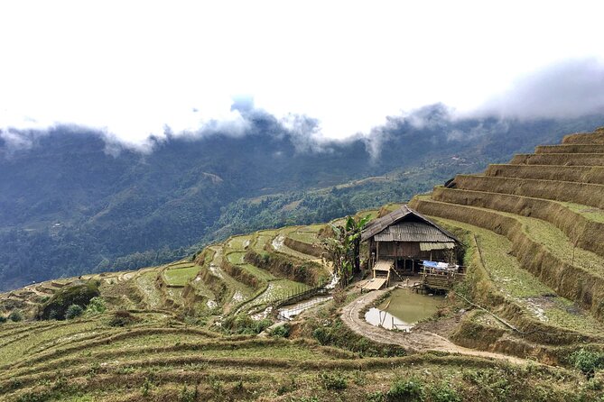 Vietnam Motorbike Tour To Sapa, Mu Cang Chai, Thac Ba-5 Days - Physical Requirements