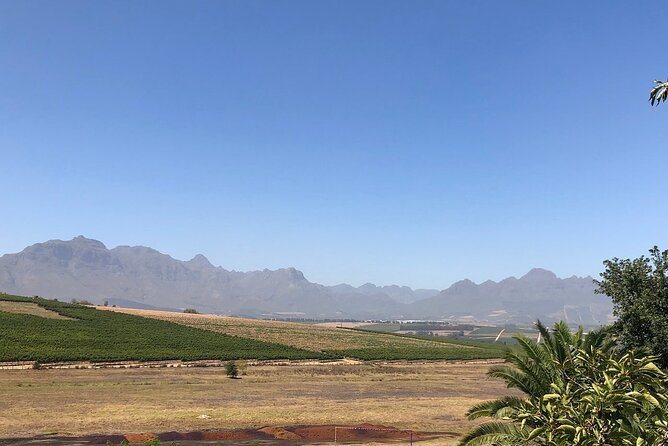 Vine Hopper: Hop-On Hop-Off Wine Tour - Northern Route - Reviews and Ratings