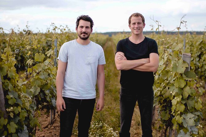 Vineyard Tour and Wine Tasting in Davron - Customer Support Options
