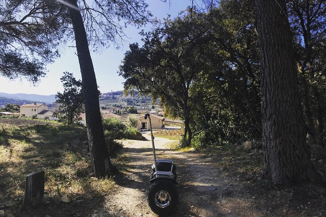 Vineyard Visit in Gyropode, Visit of Cave & Tasting Wines of Bandol - Exploring the Vineyard in Gyropode