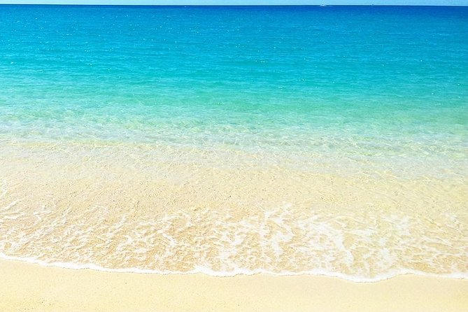 Visit 4 Beaches in the North Including Mont Choisy & Pereybere - Local Cuisine Highlights