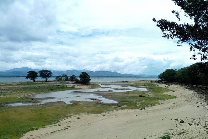 Visit Ella and Udawalawe Safari - 2 Days, All Inclusive - Accessibility Information