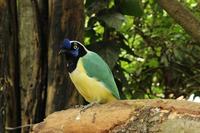 Visit to La Reserva BioPark Private Tour (6 Hrs.) - Reviews