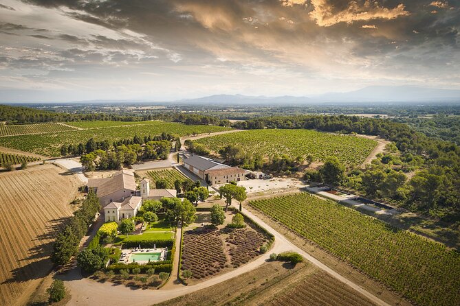 Visit to the Cellars of Château Gigognan With Tasting - Accessibility and Participation