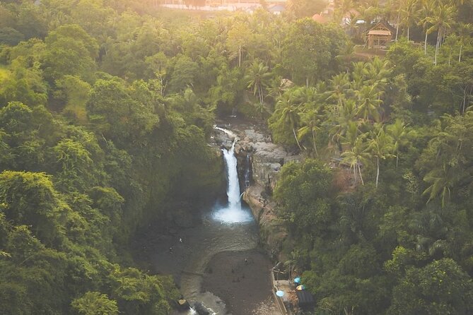 Volcano Bali Tour With Ubud Village - Tegenungan Waterfall - Rice Terrace - Pricing Information