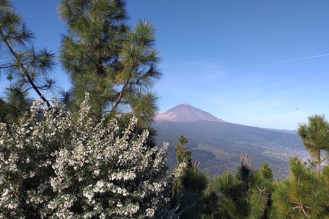 Volcano Teide National Park And North Of The Island VIP TOUR - Additional Information and Considerations