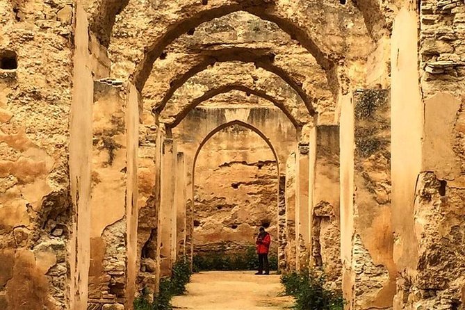 Volubilis, Moulay Idriss & Meknes Excursion From Fez - Participant Requirements