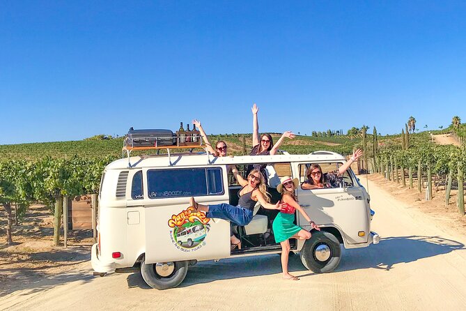 VW Bus Wine Tour of Temecula: The Ultimate California Experience - Transportation and Logistics